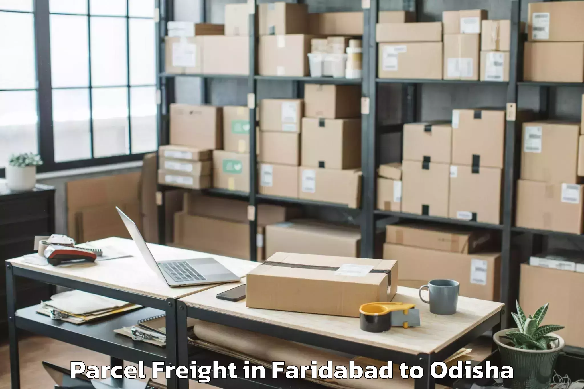 Trusted Faridabad to Sambalpur University Burla Parcel Freight